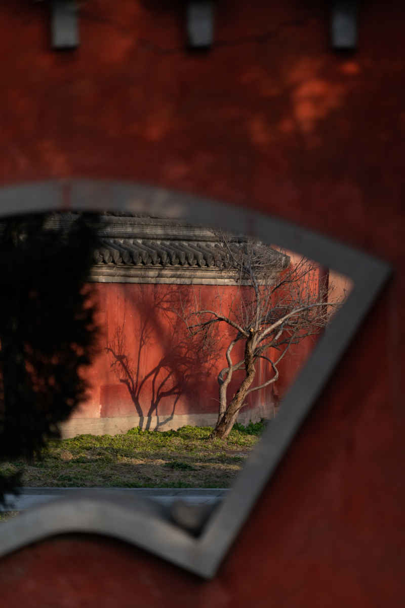 寺庙 15