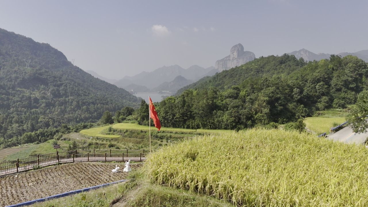 温州中雁荡山与梯田水稻 13