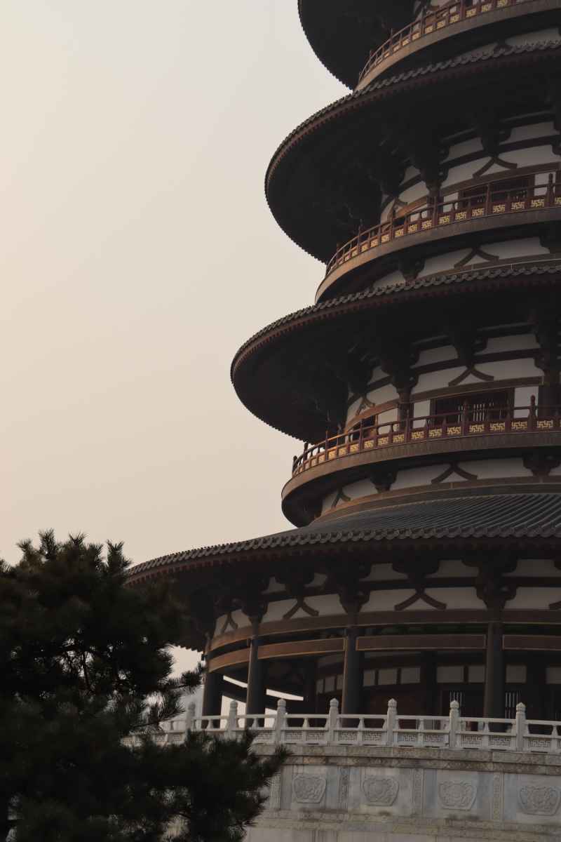 洛阳随拍 50