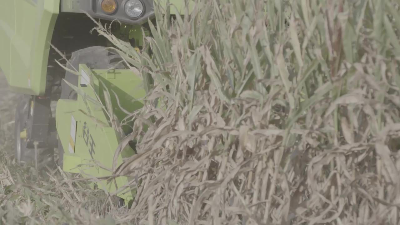 玉米地收割机
