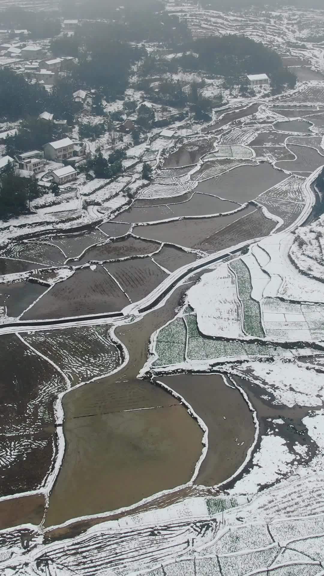 冬日雪乡的宁静之美