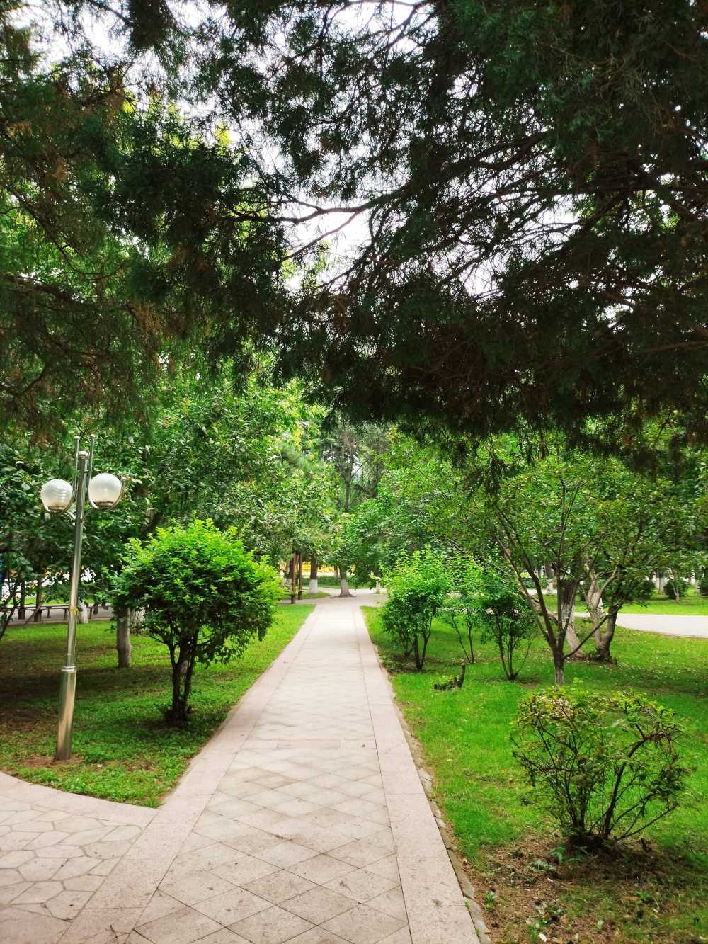 东北大学风景