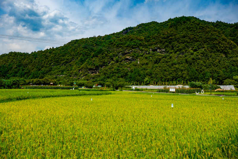 大山深处的美景 2