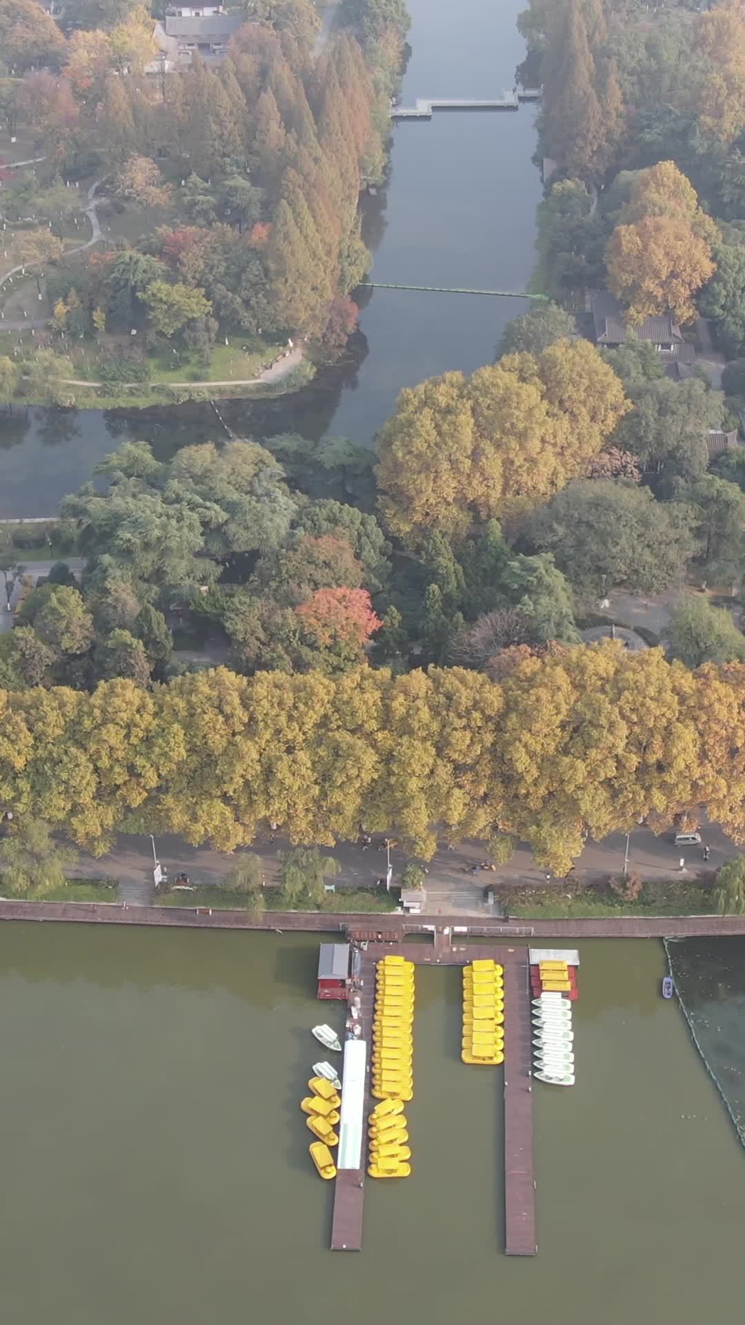 秋日湖畔静谧景