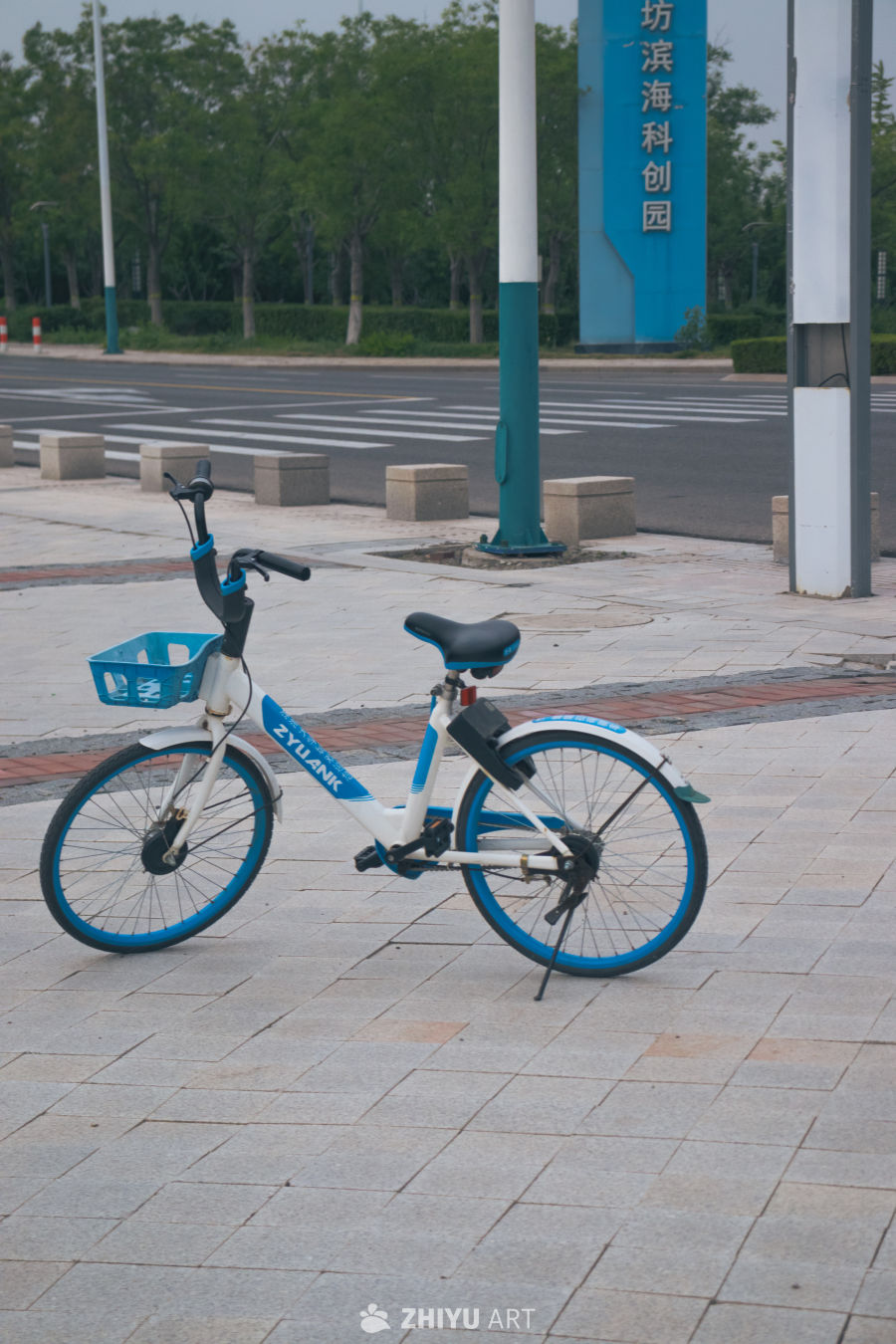 滨海岸共享单车静景