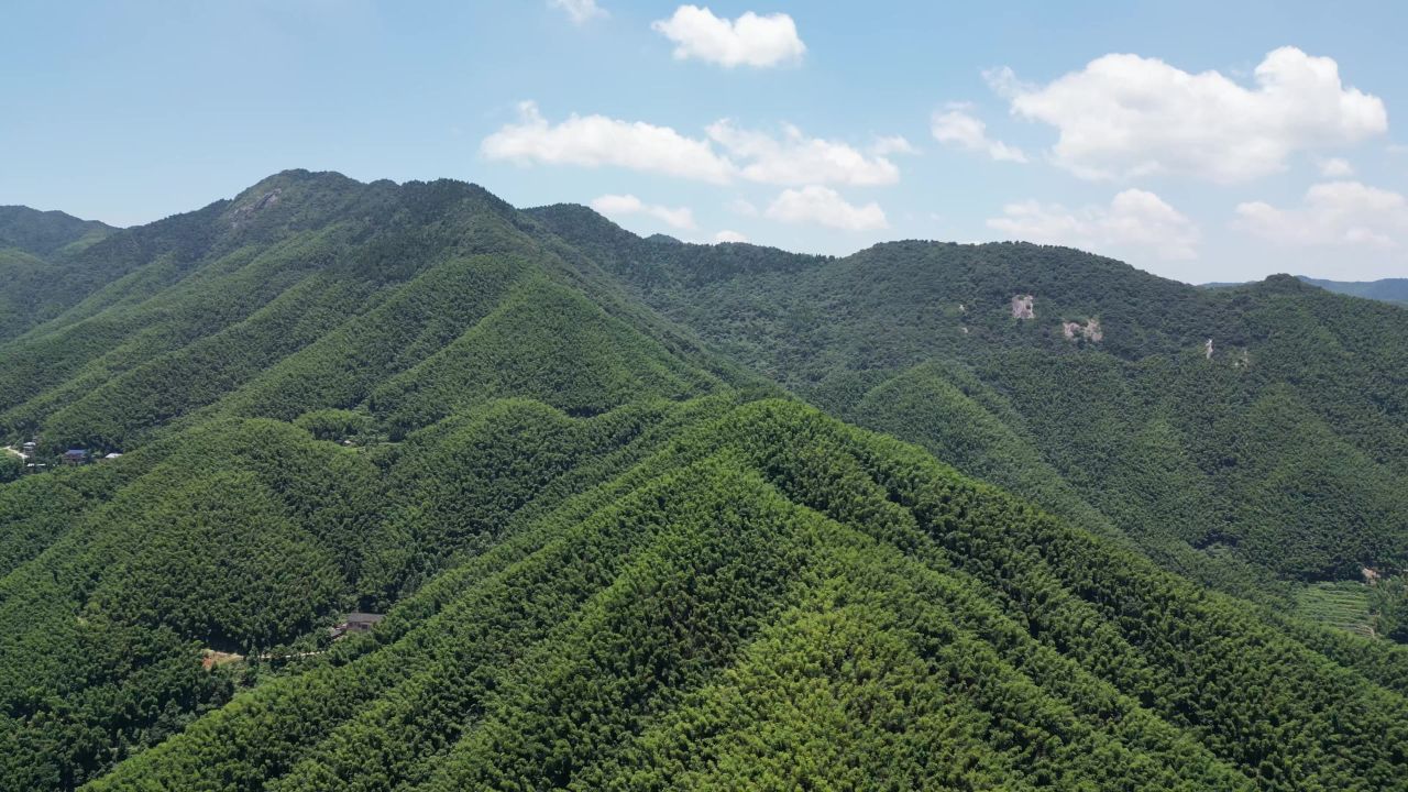 航拍南岳衡山5A景区竹林 