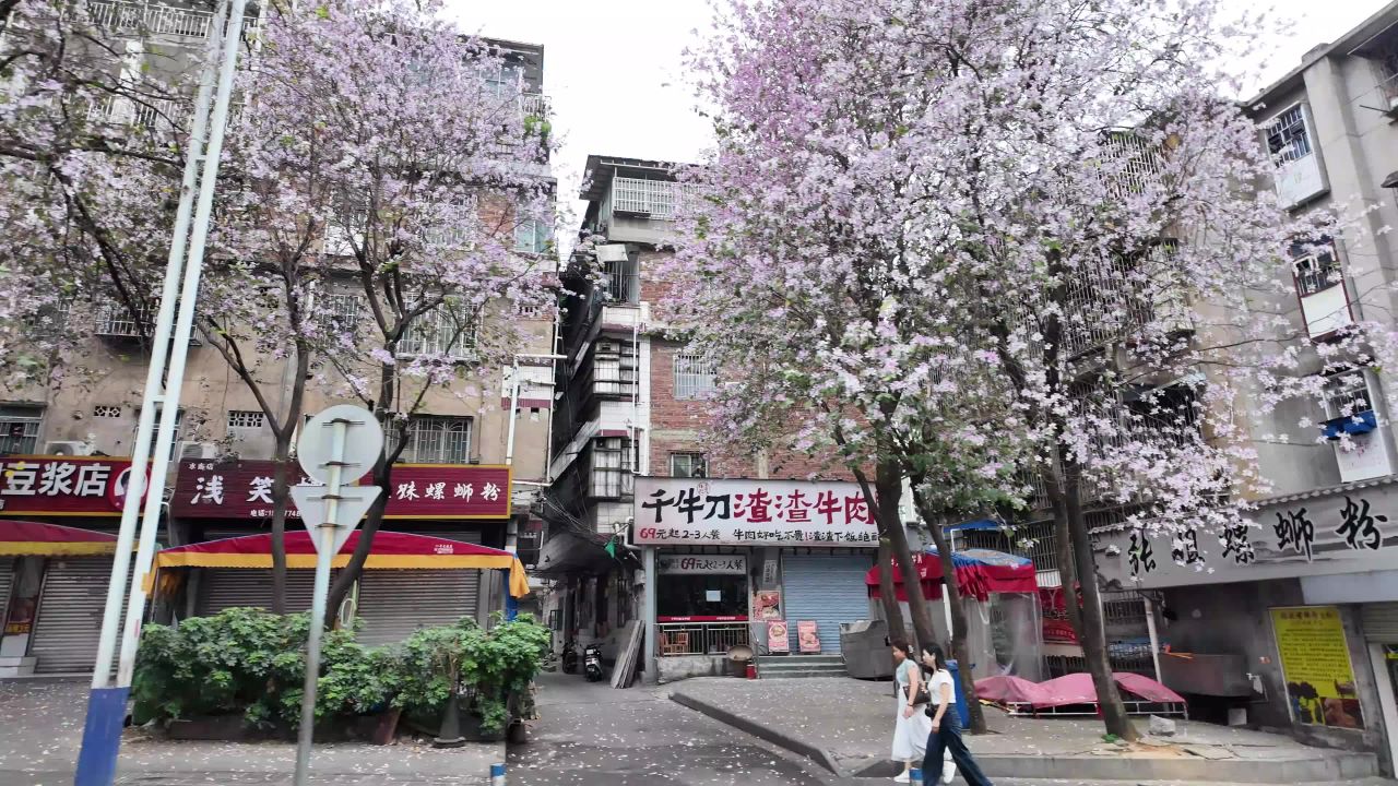 窗外 13