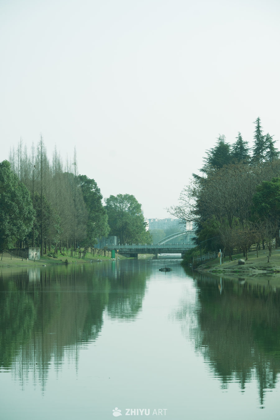 河畔静谧时光