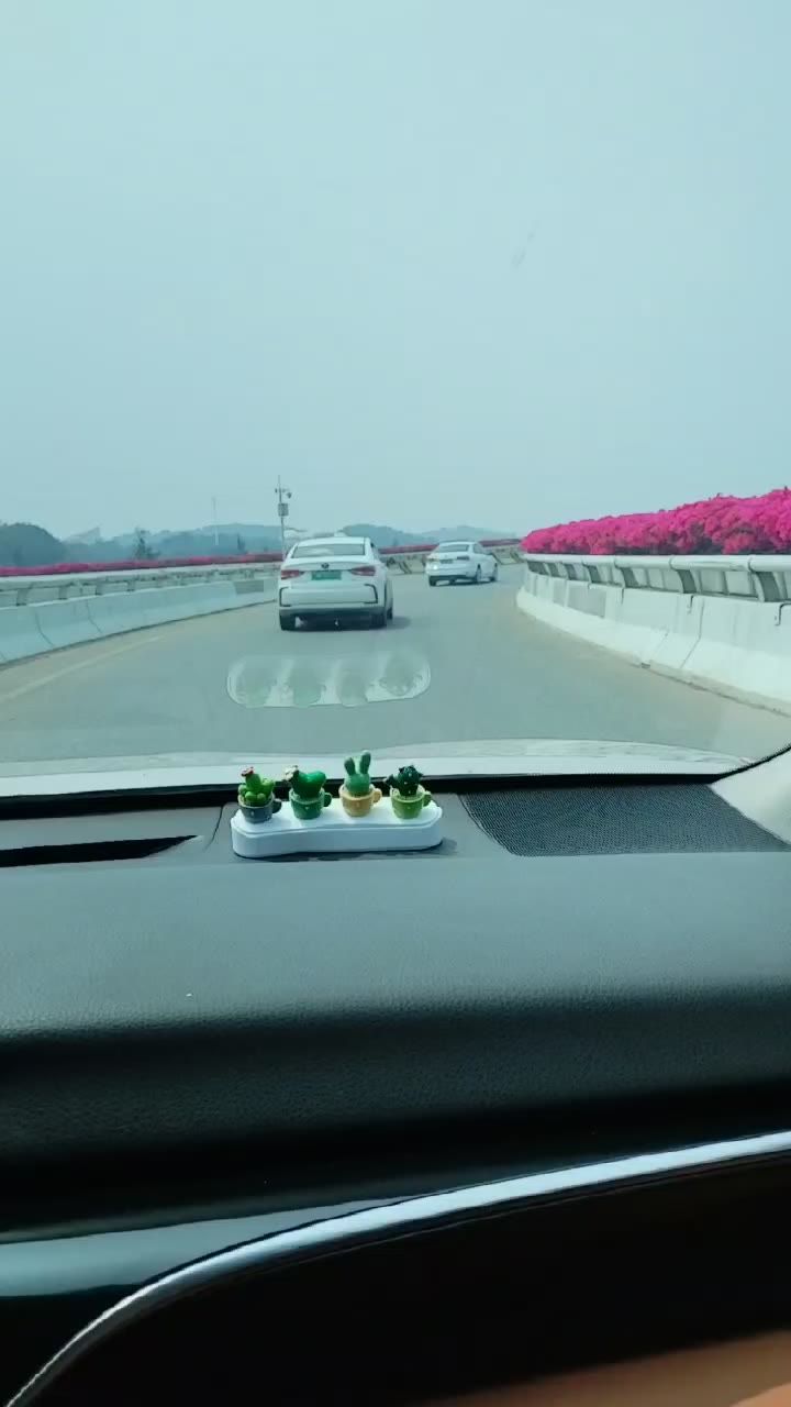 车内拍立交桥上的花