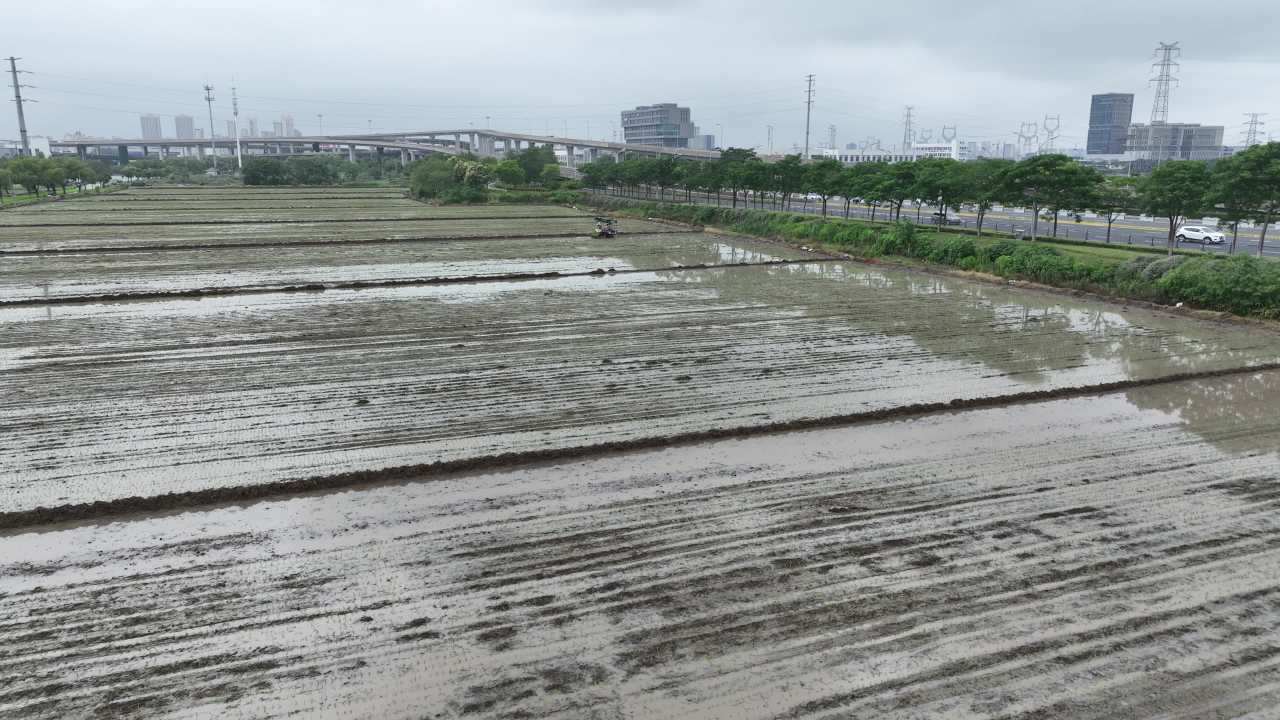 4K航拍夏种农忙时节 1
