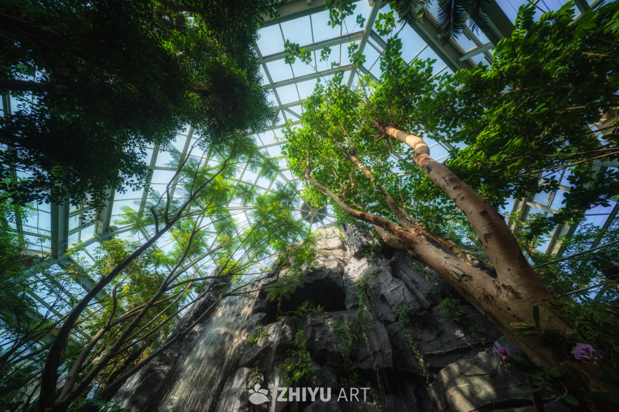 温室植物园，光影温馨 2