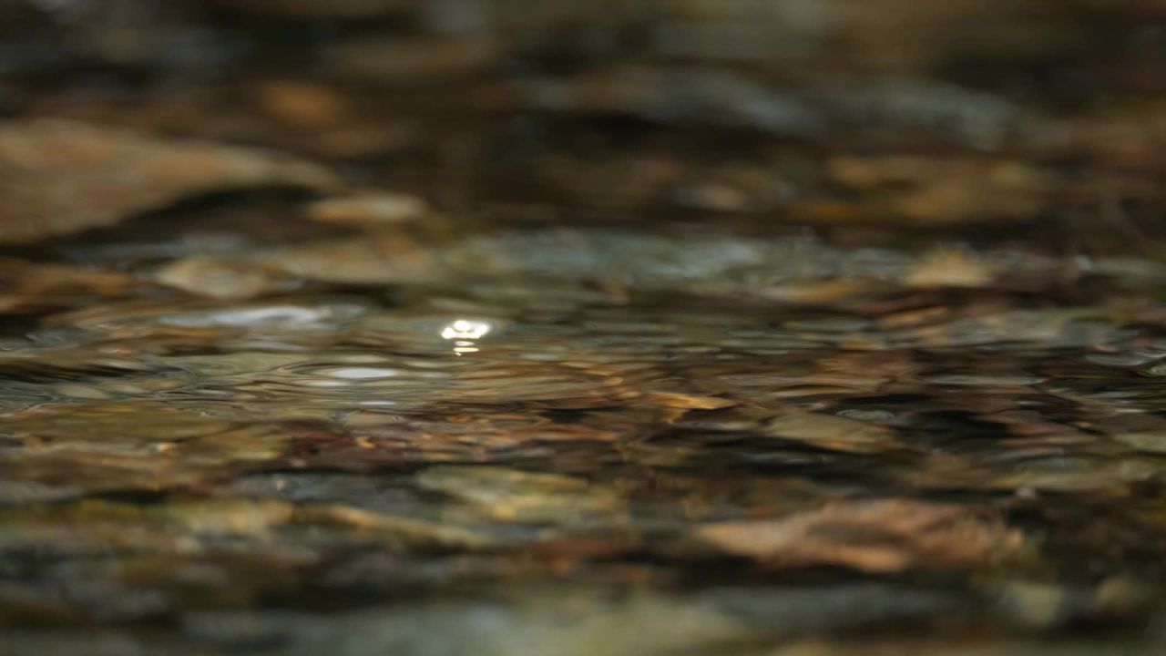 山泉水矿泉水潺潺小溪流水瀑布 38