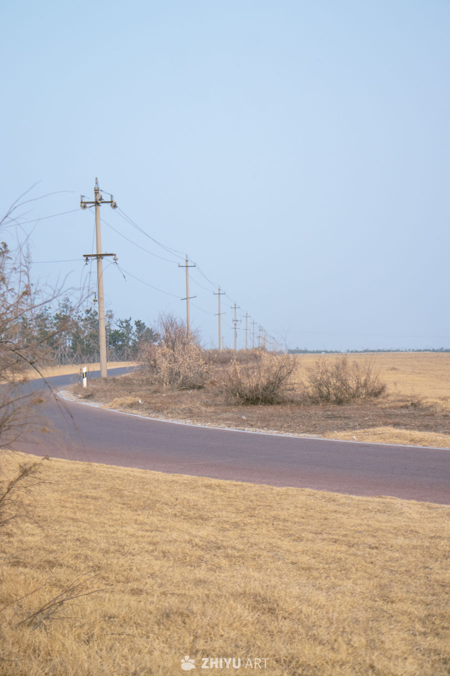 乡间公路的宁静时光