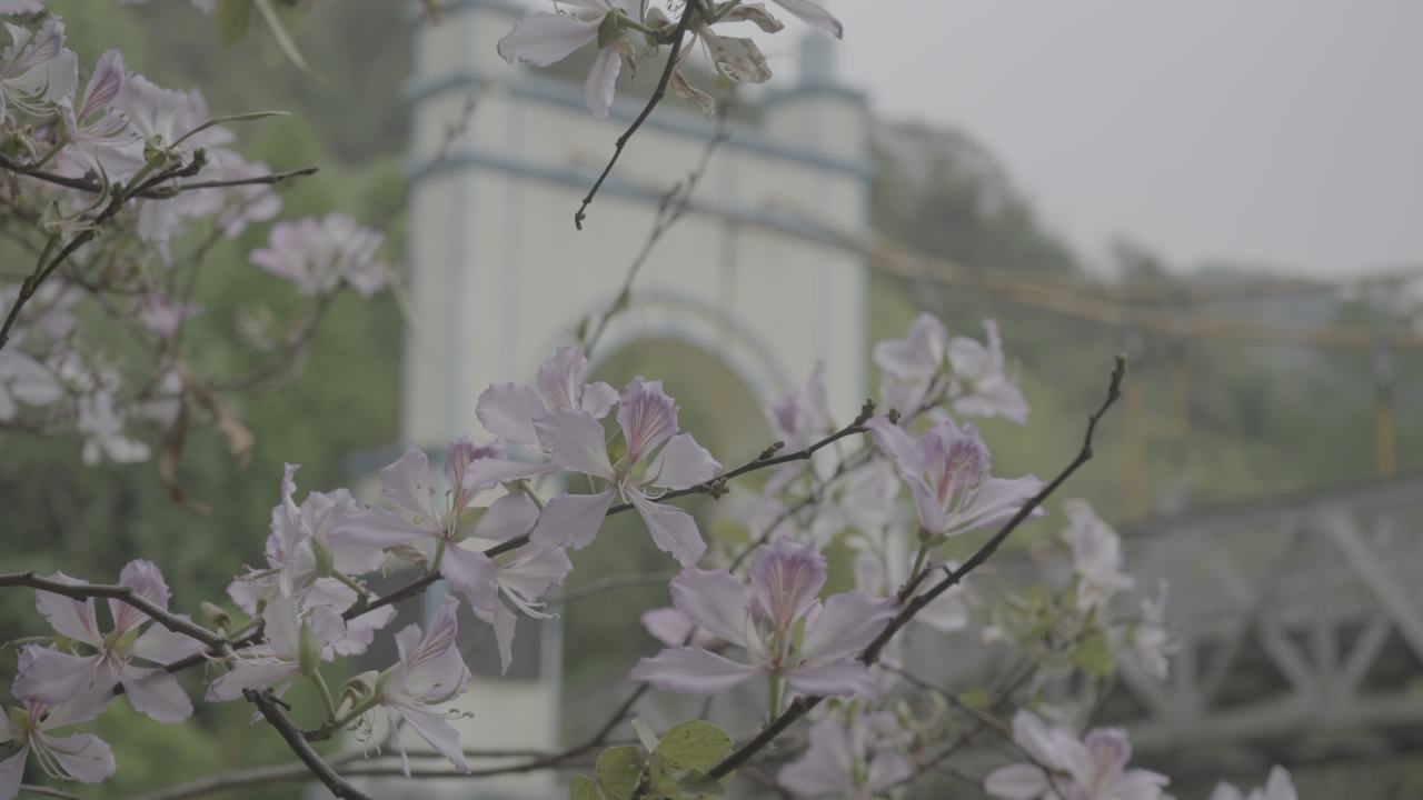 龙潭公园 13