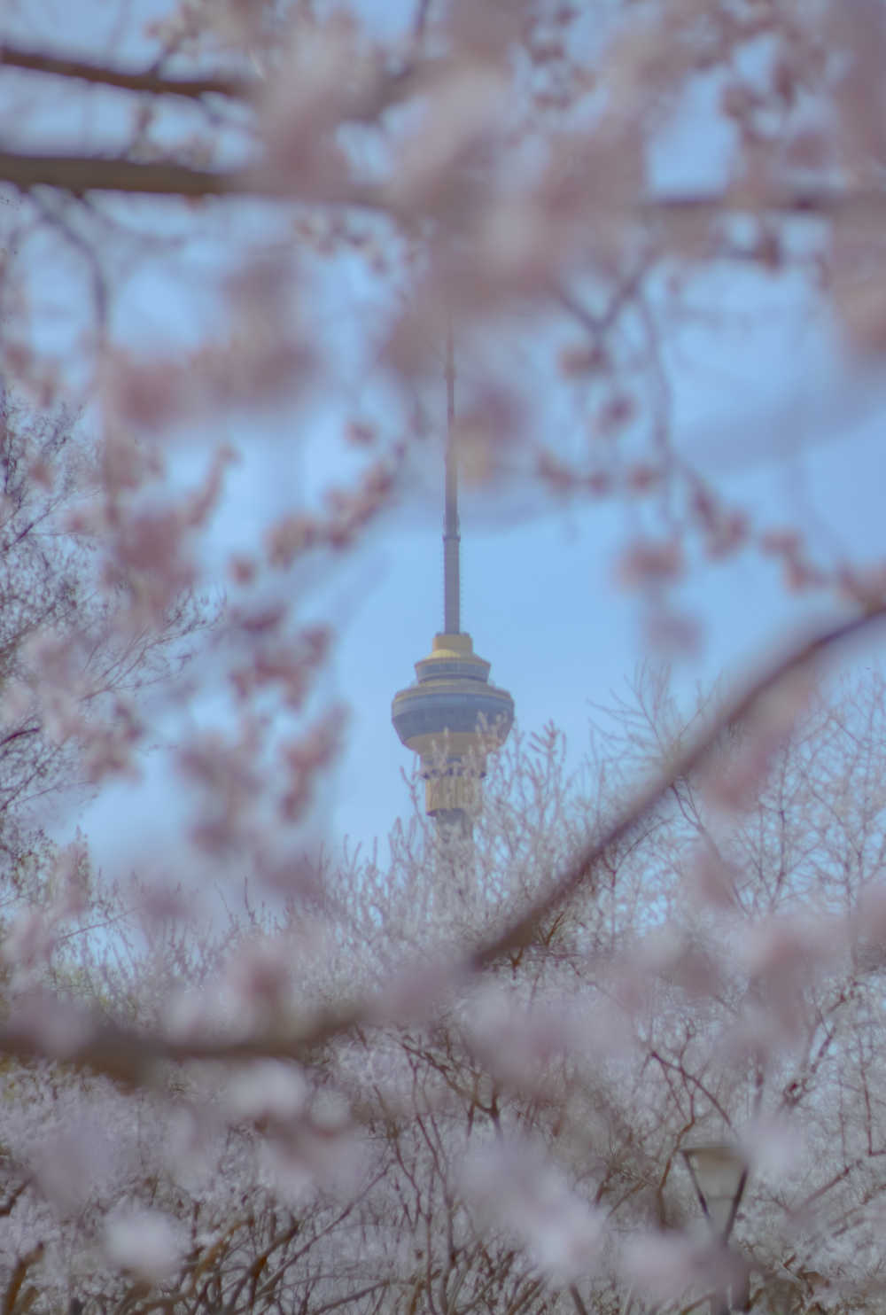 花中塔