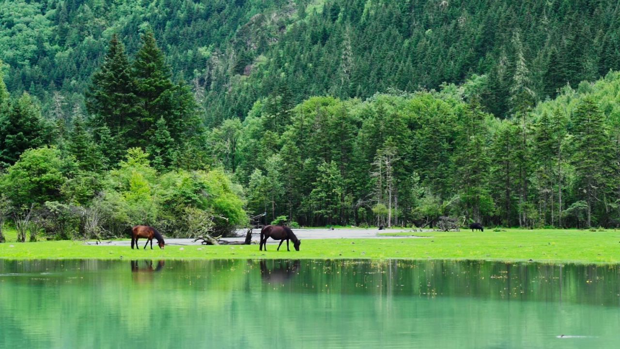 马群在月亮湾的草地上吃草