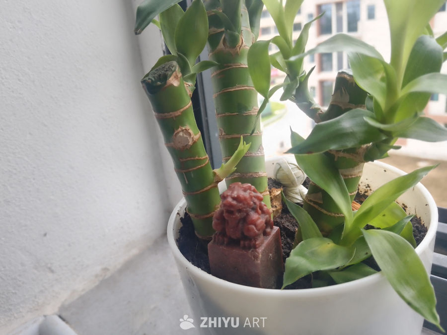 归家杂绪