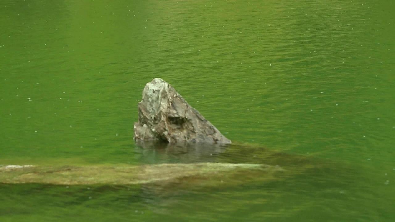 草原森林山脉自然风光