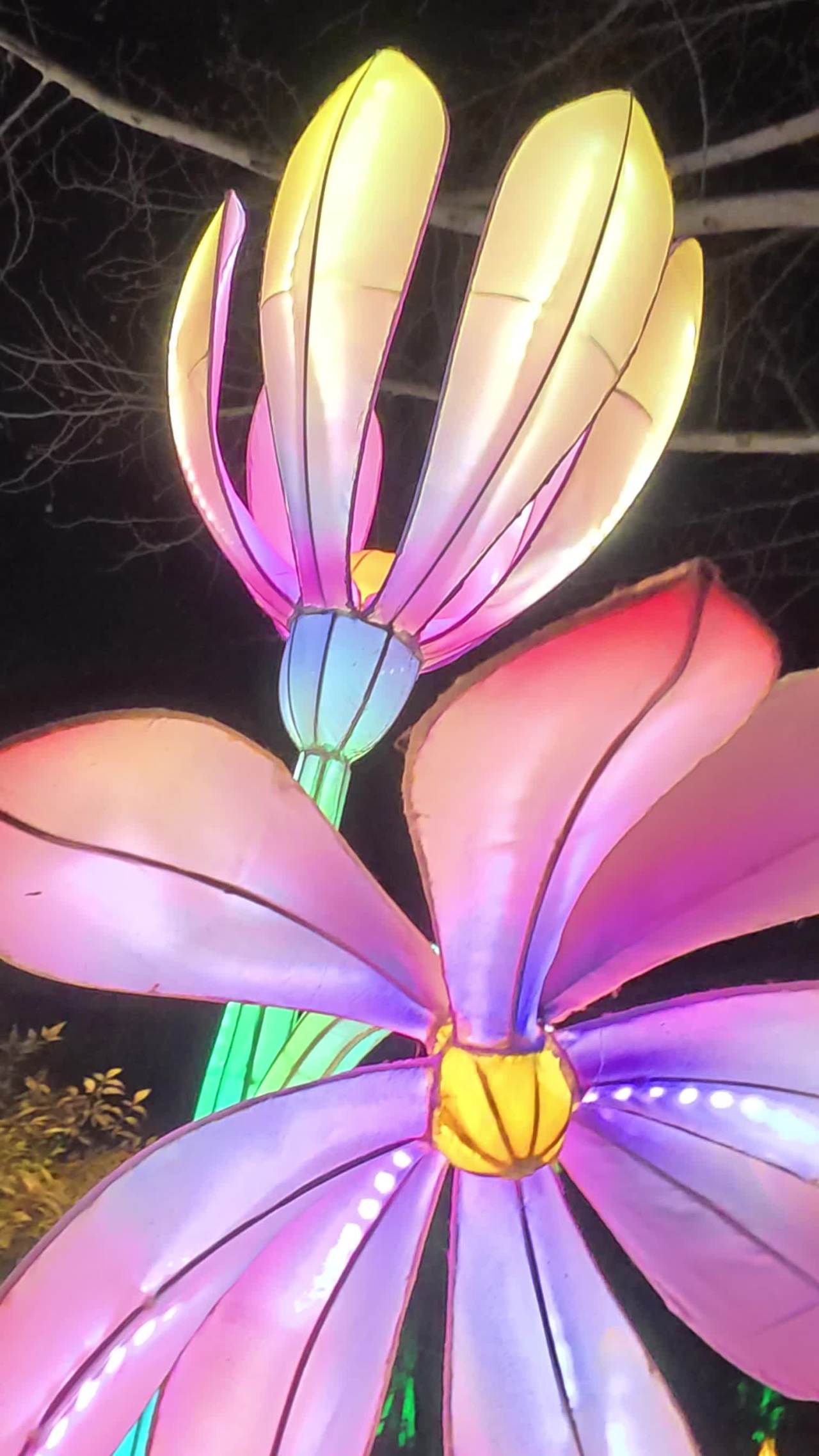 夜色中的花灯盛宴
