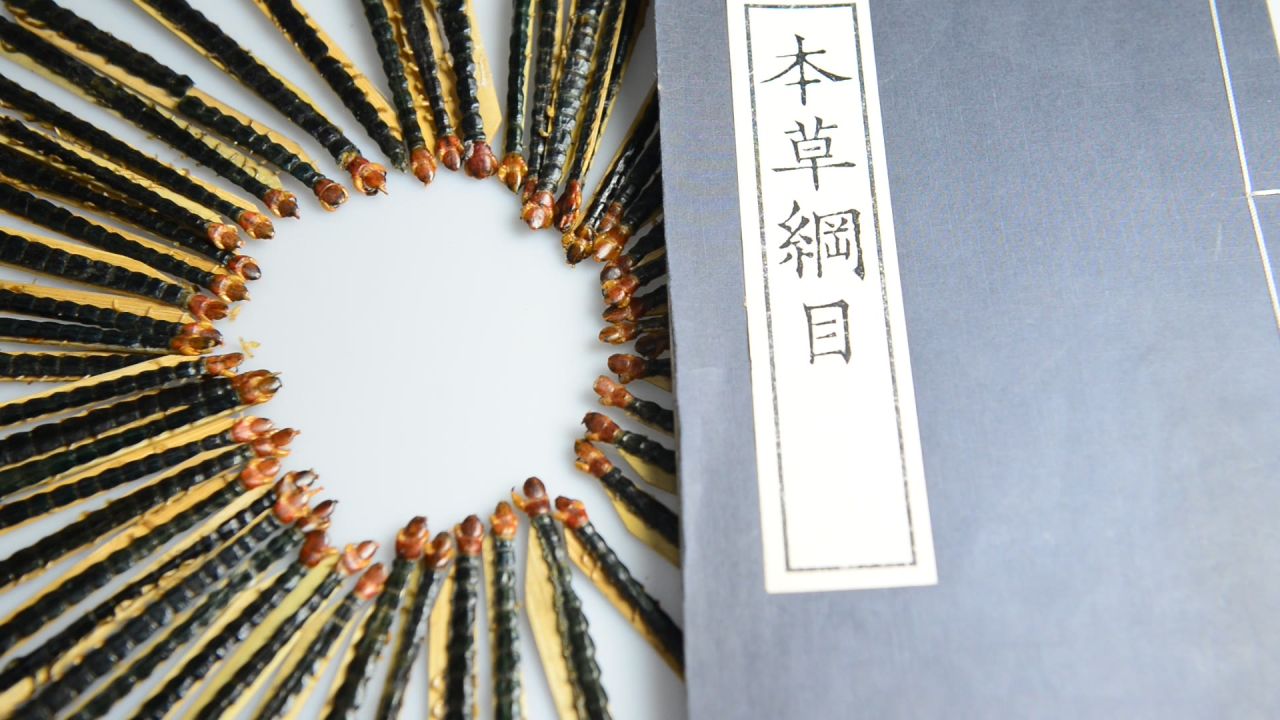 蜈蚣中药材 29