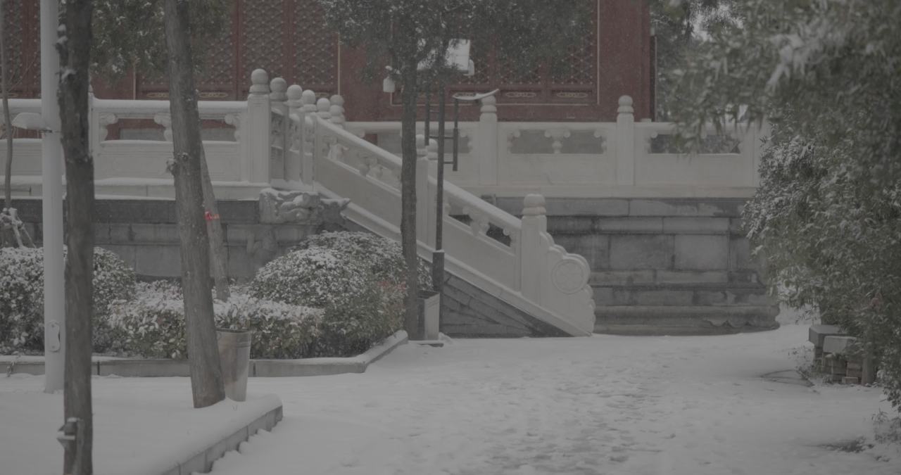 A_0003C373H251212_163510JC_CANON