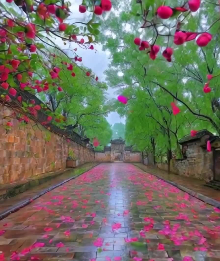 花瓣铺满石路，古老庭院春色满园