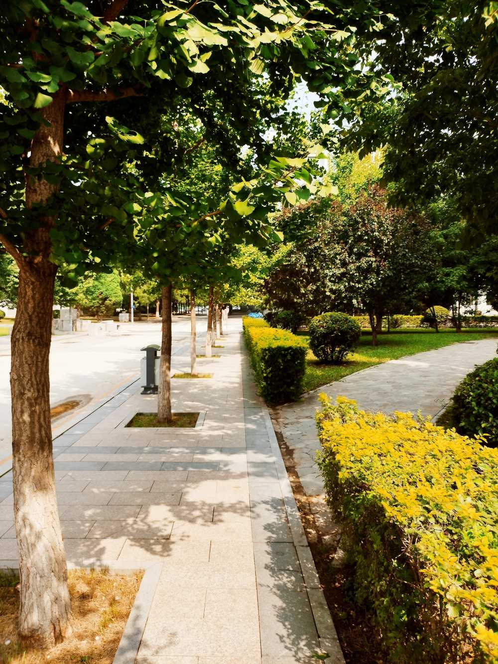 东北大学风景