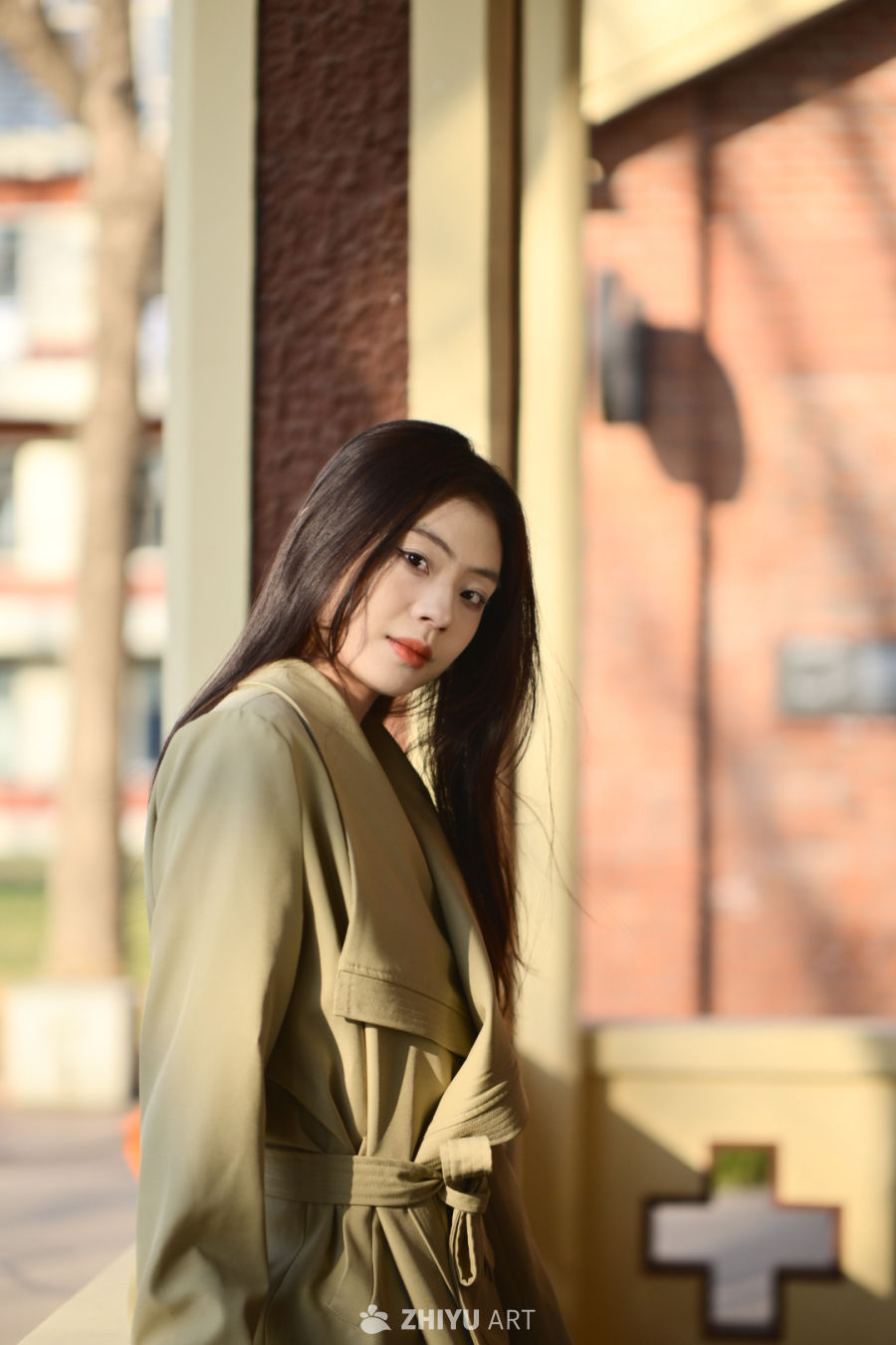 阳光下的优雅瞬间