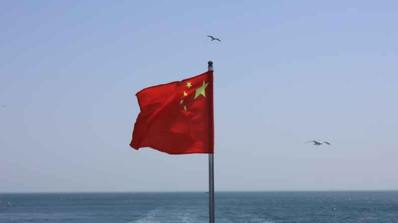 国旗+海鸥系列 爱国氛围感拉满 3