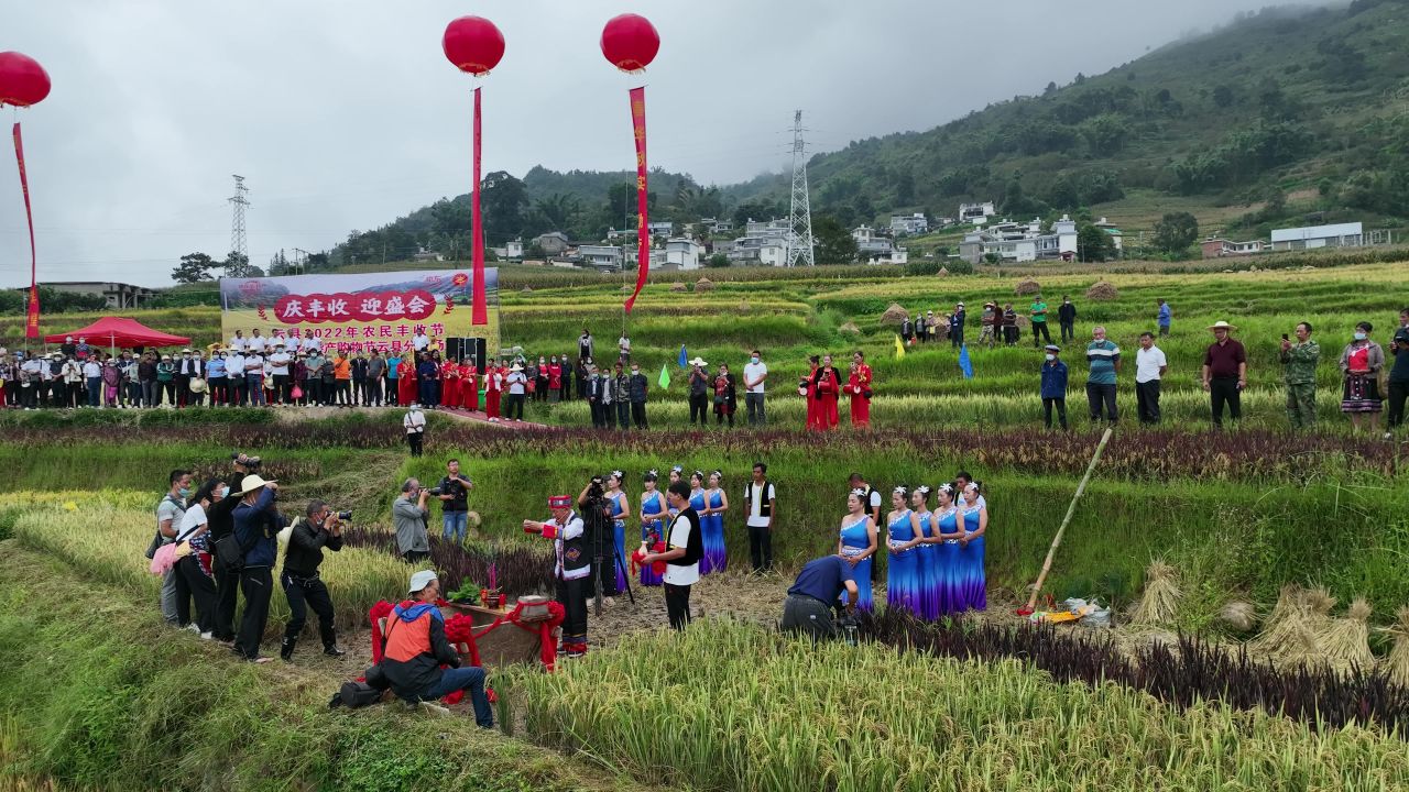 丰收的喜悦 63