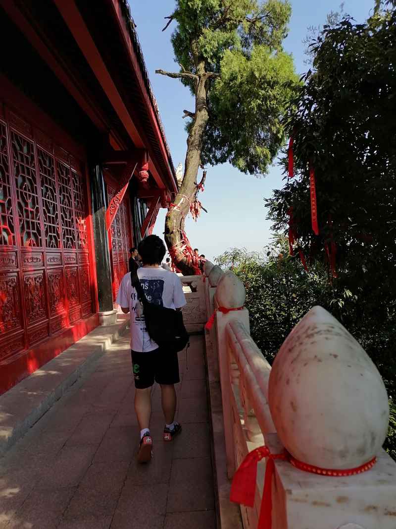 青城山顶