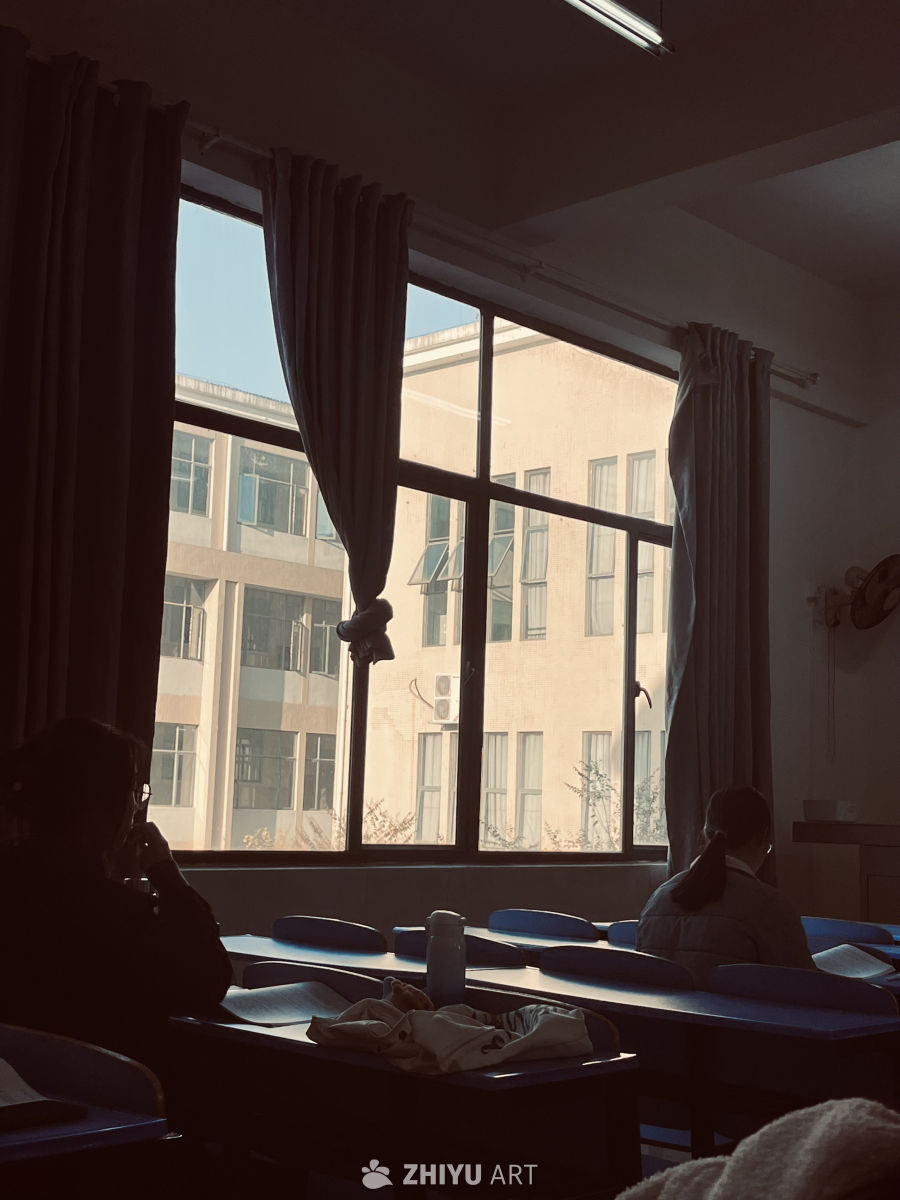 阳光下的教室时光