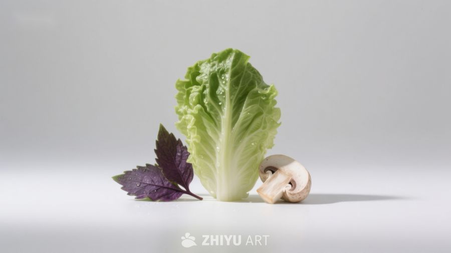 生菜菌菇与紫叶静物