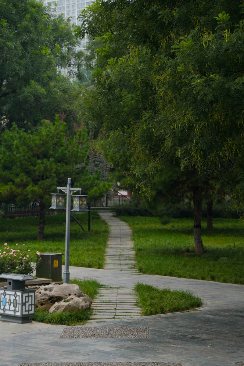 通往远方的路