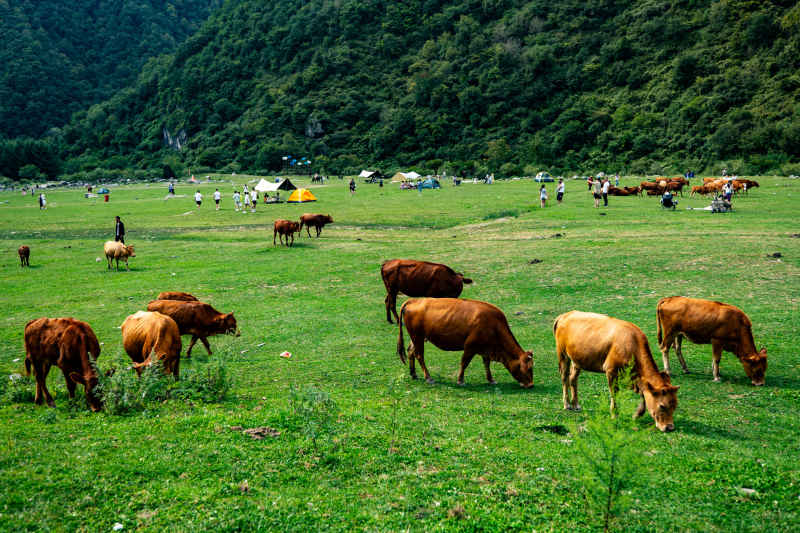 大山深处的美景 9