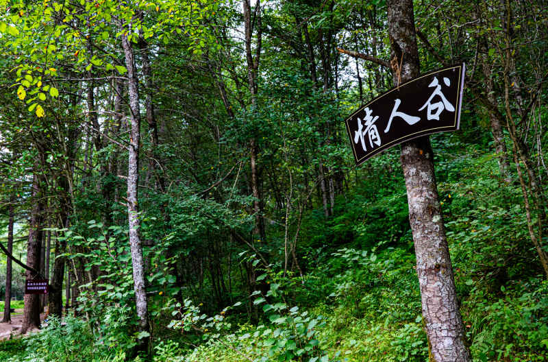 大山深处 4