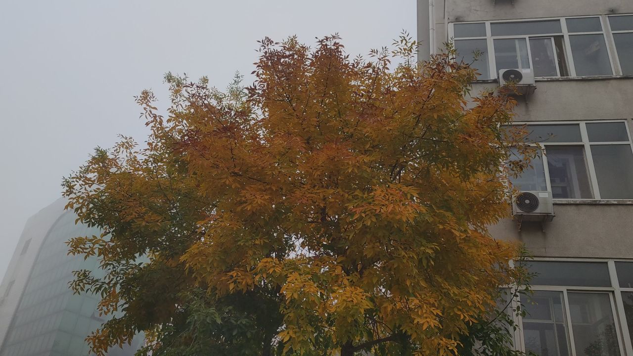 大学 保定 17