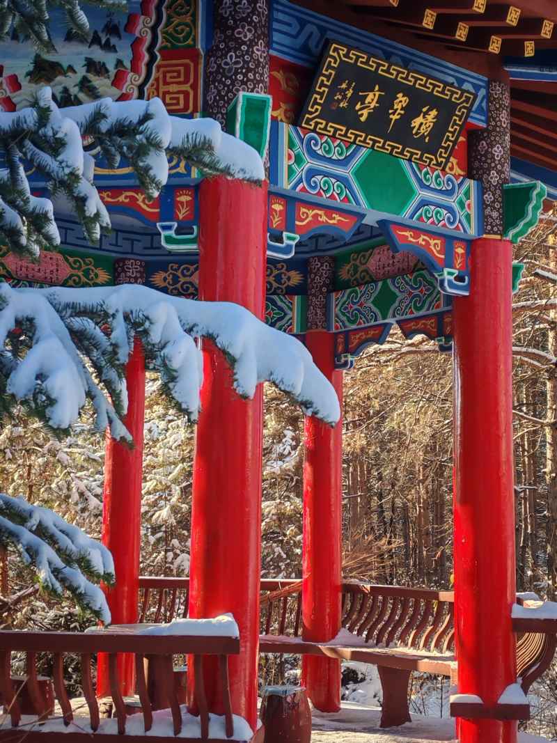 雪景 雪天 冬天 冬季 落雪 下雪 初雪