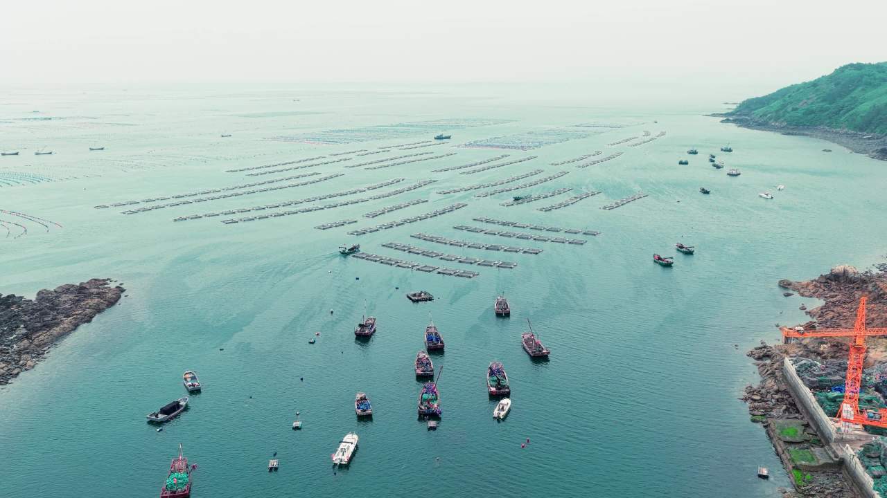 航拍长海岛港口码头