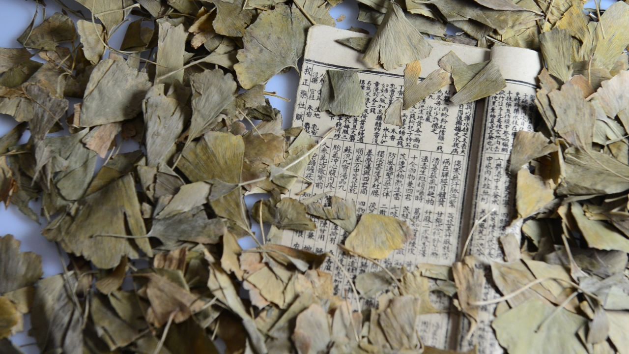 银杏树叶  30