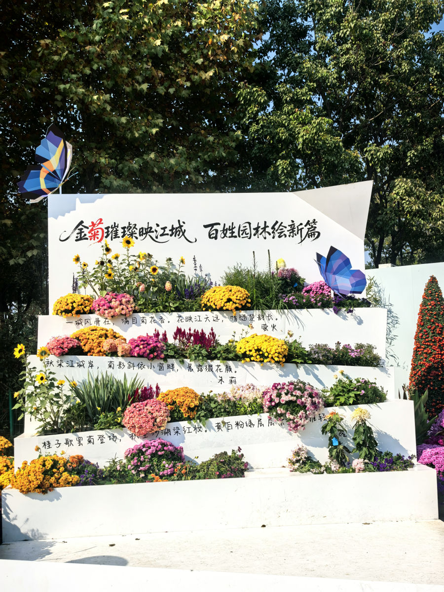 你若盛开，蝴蝶自来