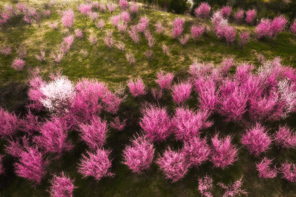 春暖花开