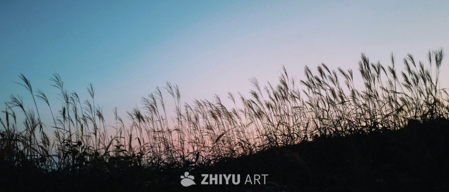 河边落日余晖