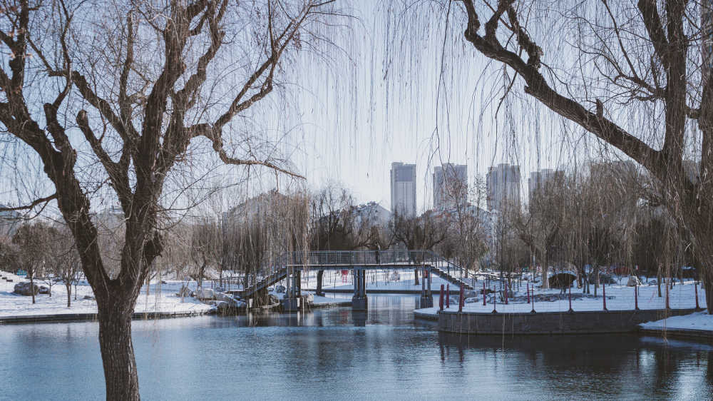 冬天的第一场雪