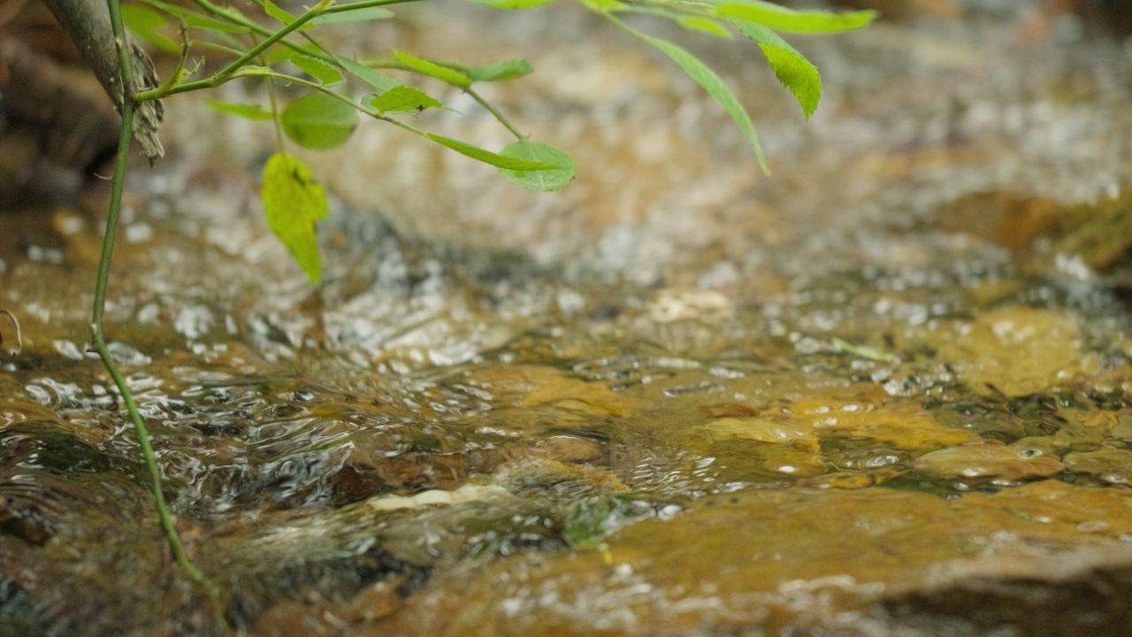 清澈山泉水温泉矿泉水小溪山涧 32