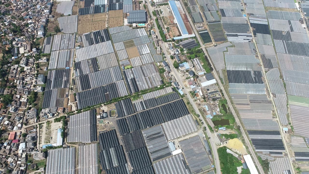 塑料大棚 蔬菜花卉种植基地4