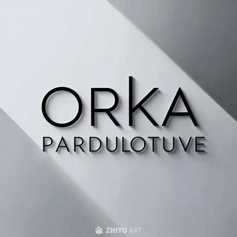 在单色背景上，“ORKA”和“PARDUOTUVE