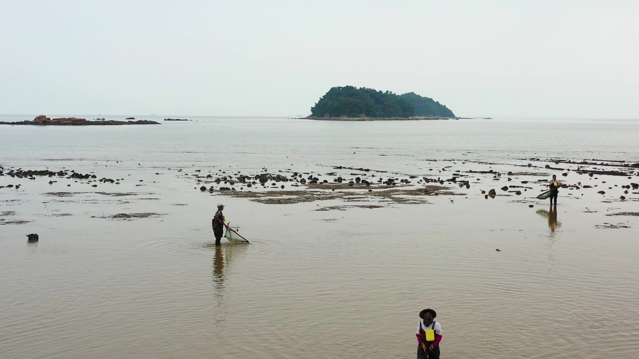 海边退潮勤劳渔家工作忙2