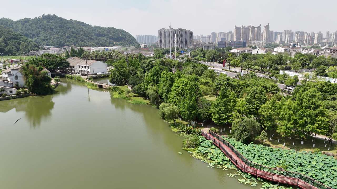 湖畔城市的绿意盎然
