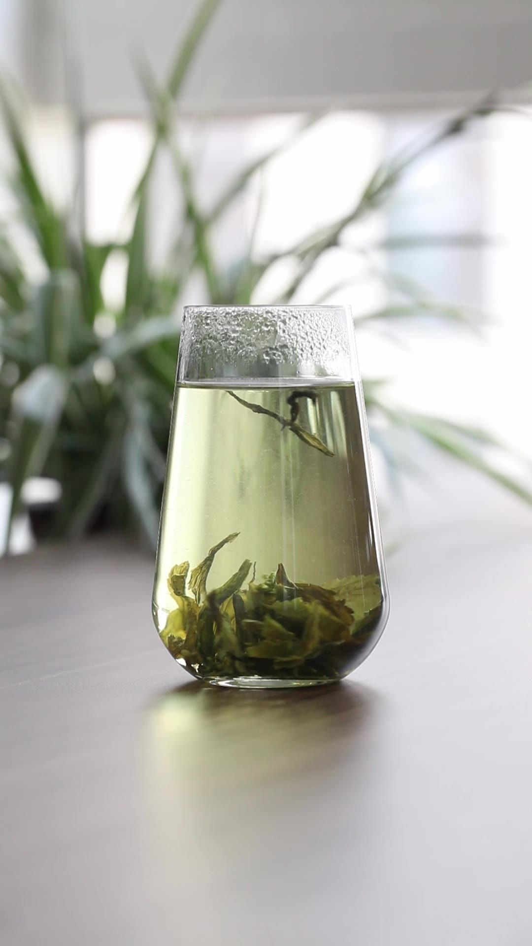 绞股蓝小苦茶